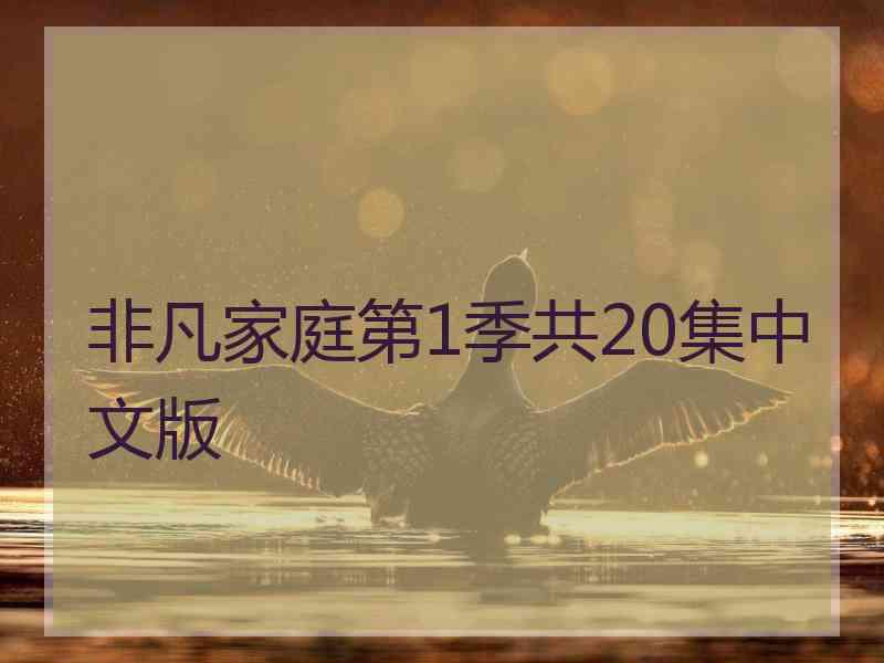 非凡家庭第1季共20集中文版