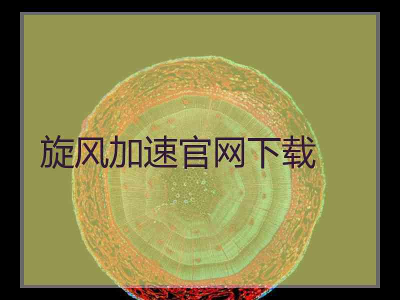 旋风加速官网下载