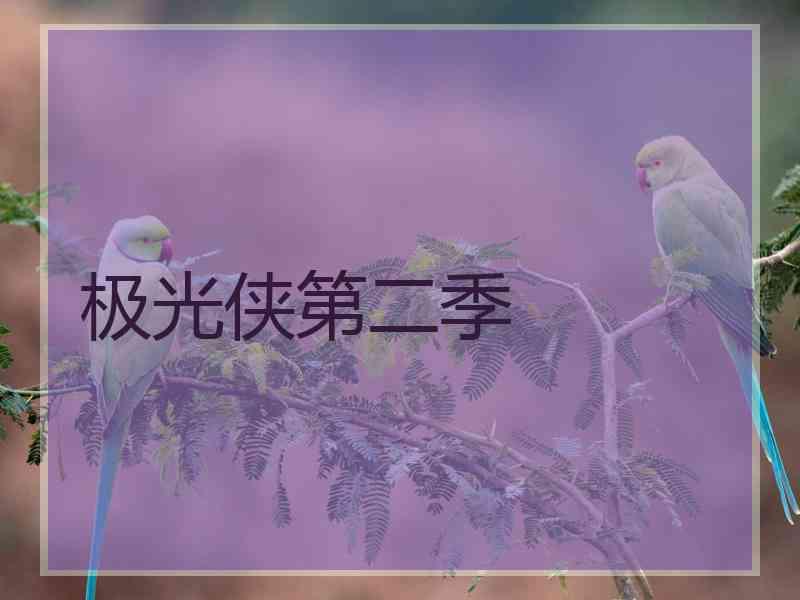 极光侠第二季