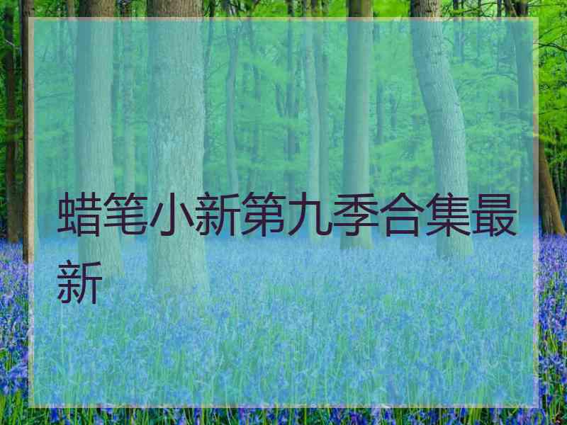 蜡笔小新第九季合集最新