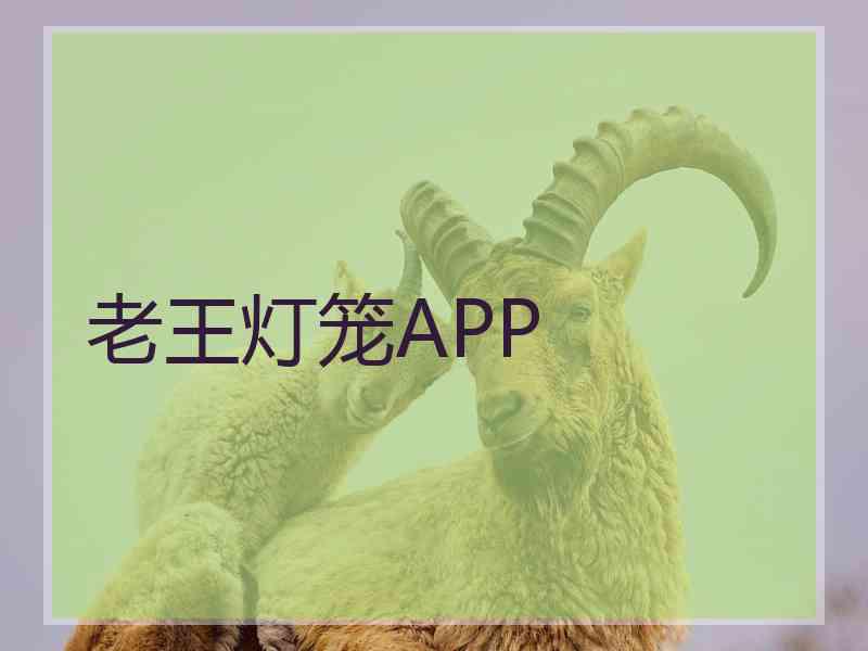 老王灯笼APP