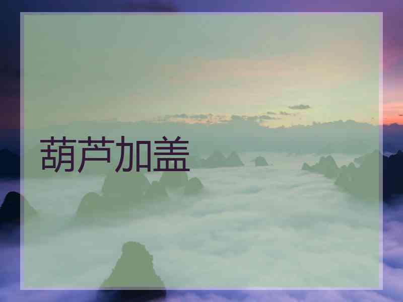 葫芦加盖
