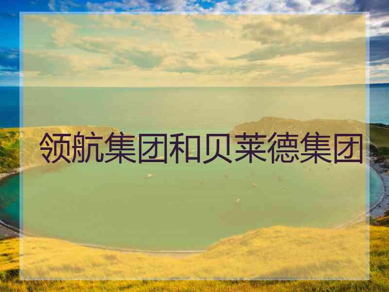 领航集团和贝莱德集团