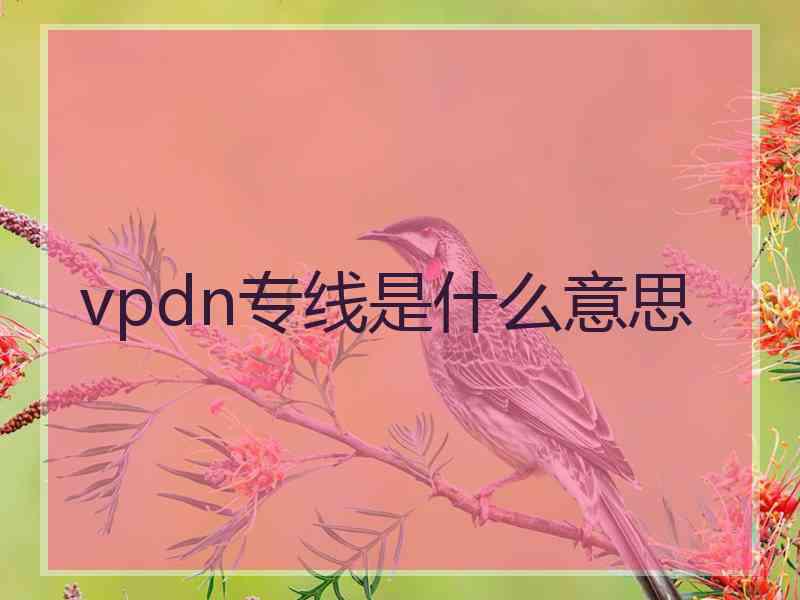 vpdn专线是什么意思