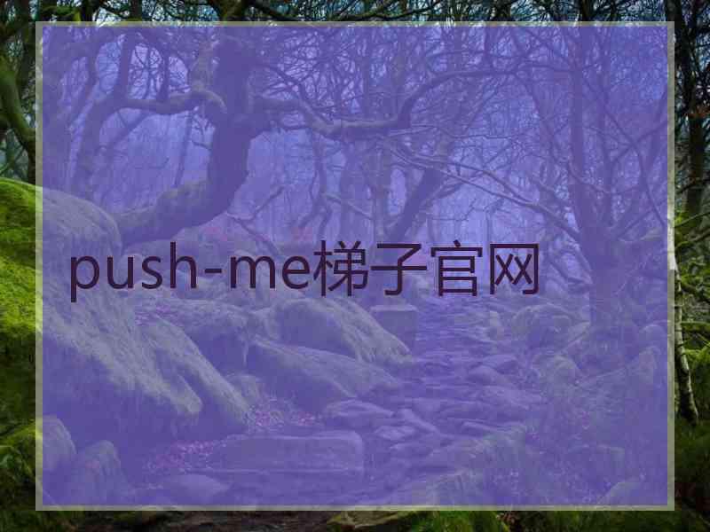 push-me梯子官网