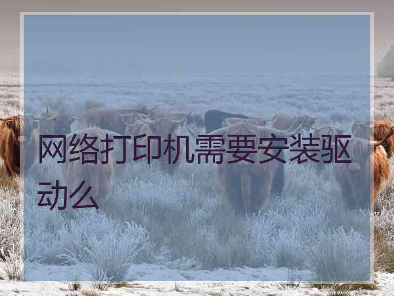 网络打印机需要安装驱动么