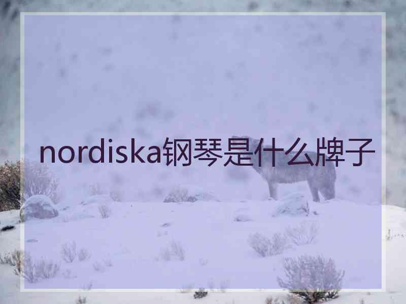 nordiska钢琴是什么牌子
