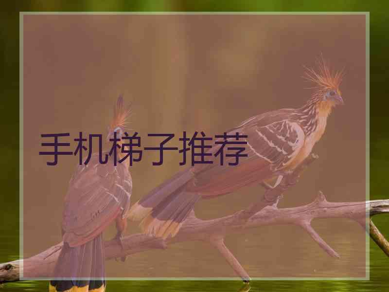 手机梯子推荐
