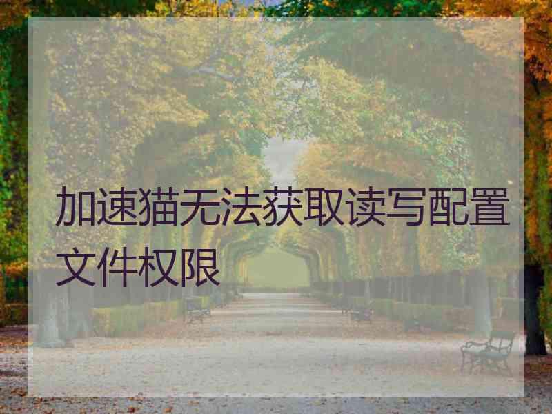 加速猫无法获取读写配置文件权限