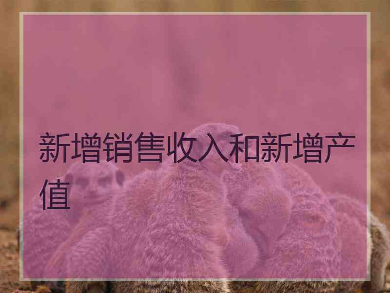 新增销售收入和新增产值
