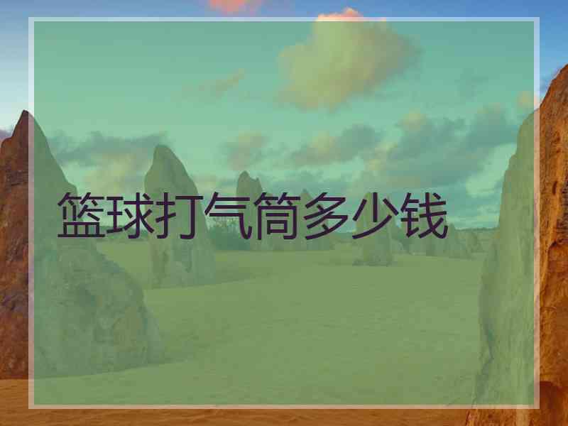 篮球打气筒多少钱