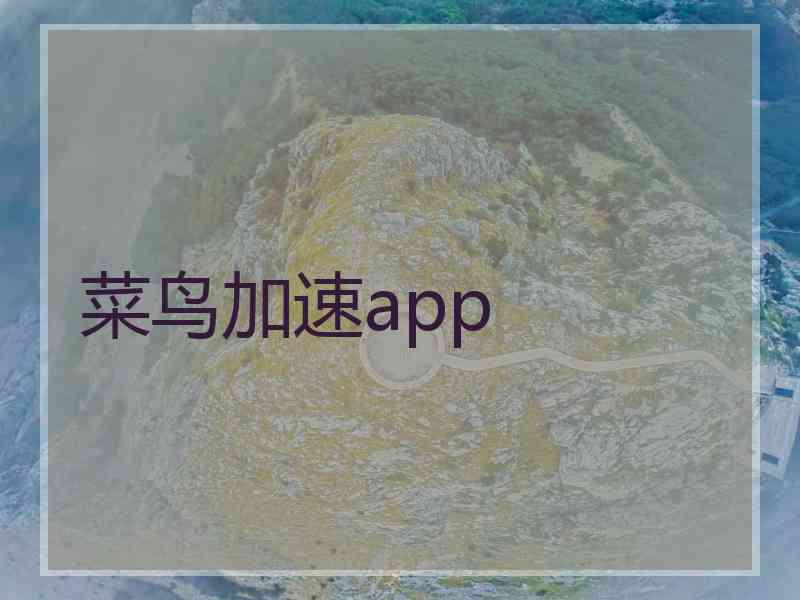 菜鸟加速app