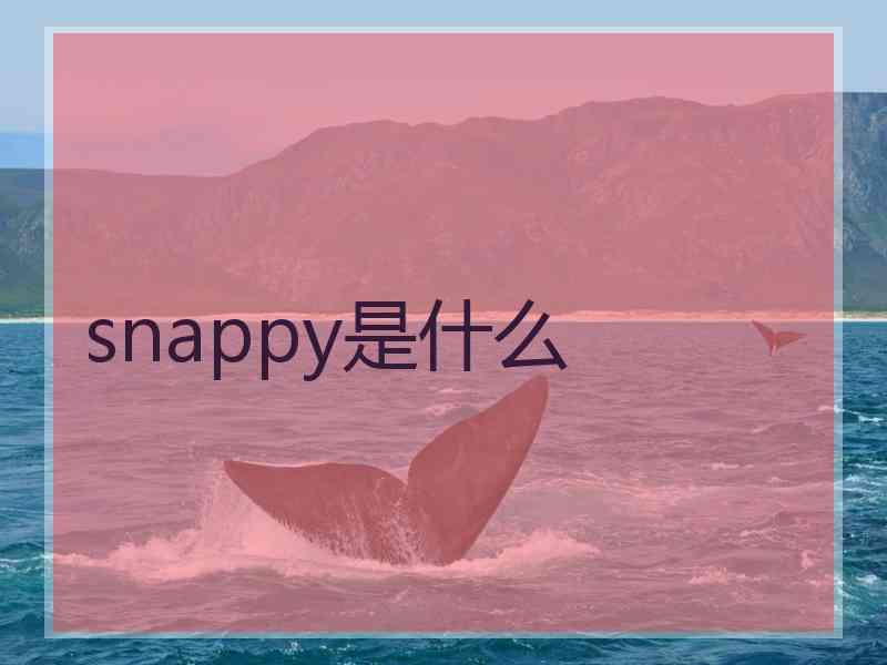 snappy是什么