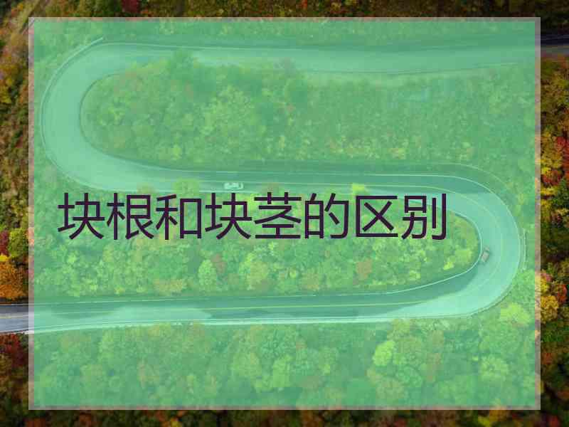 块根和块茎的区别