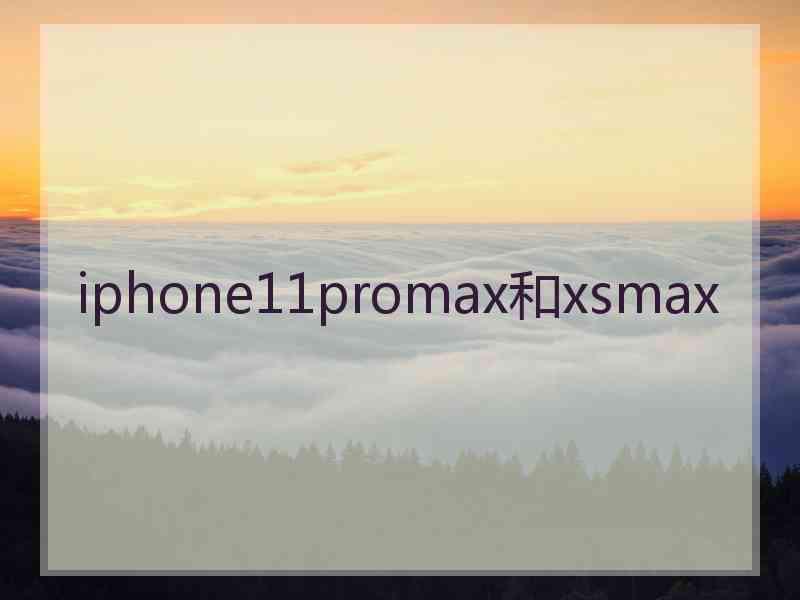 iphone11promax和xsmax