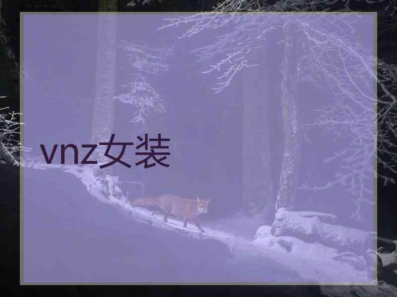 vnz女装