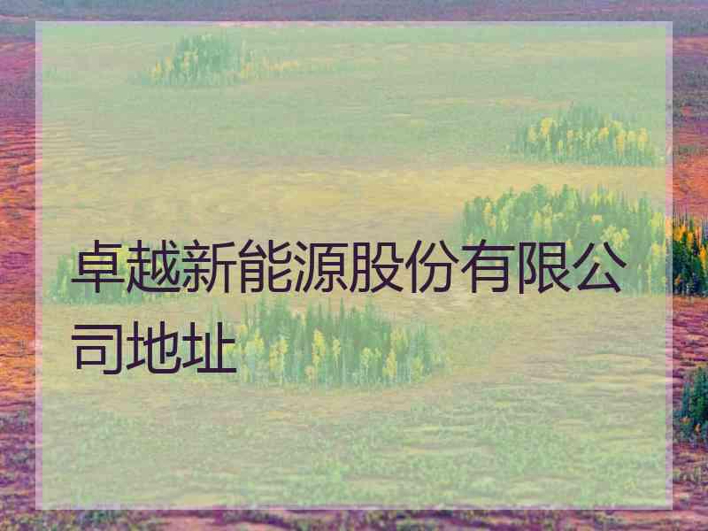 卓越新能源股份有限公司地址