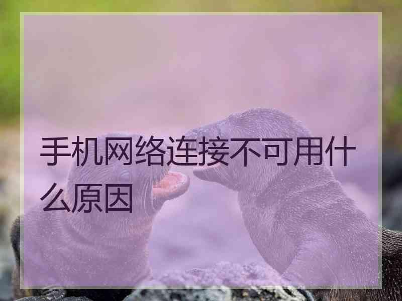 手机网络连接不可用什么原因