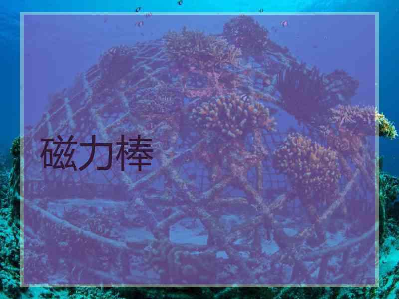 磁力棒