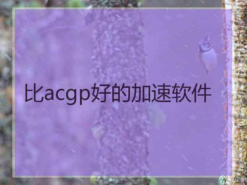 比acgp好的加速软件
