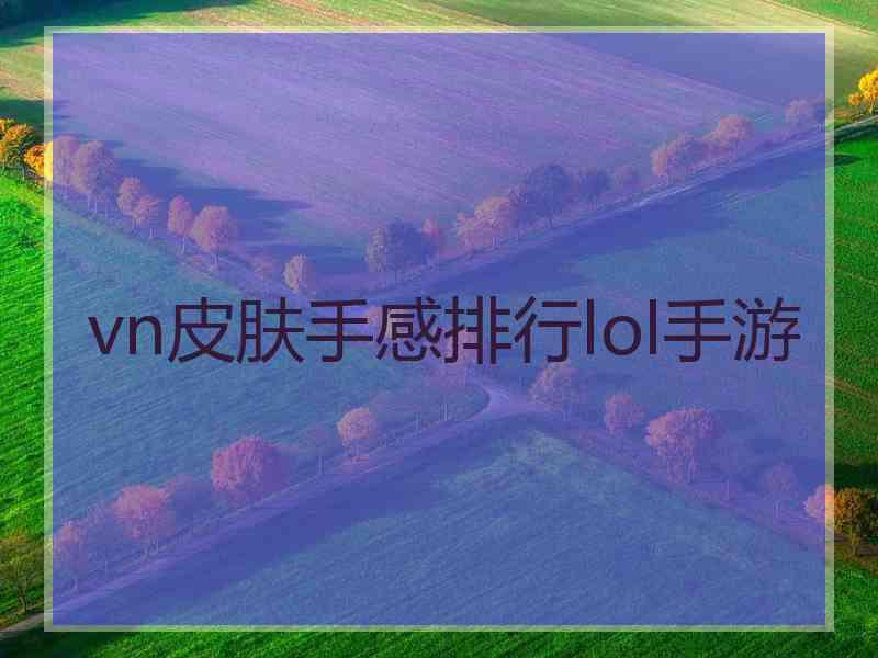 vn皮肤手感排行lol手游