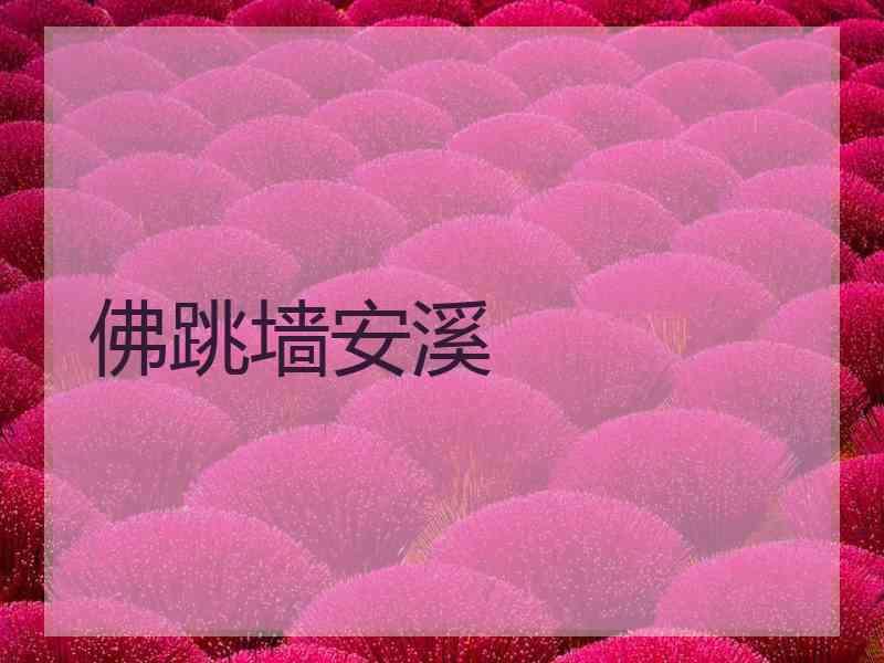 佛跳墙安溪