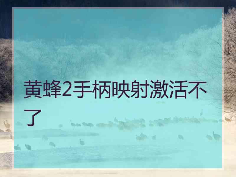 黄蜂2手柄映射激活不了