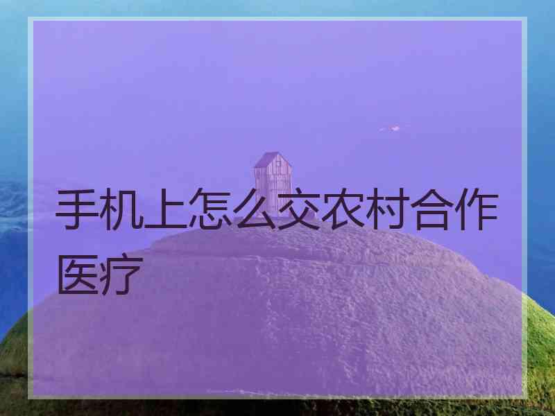 手机上怎么交农村合作医疗
