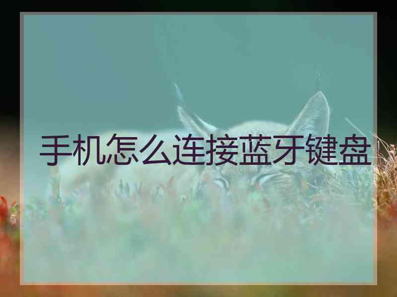 手机怎么连接蓝牙键盘