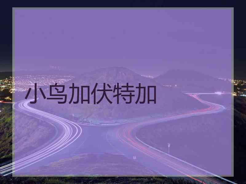 小鸟加伏特加