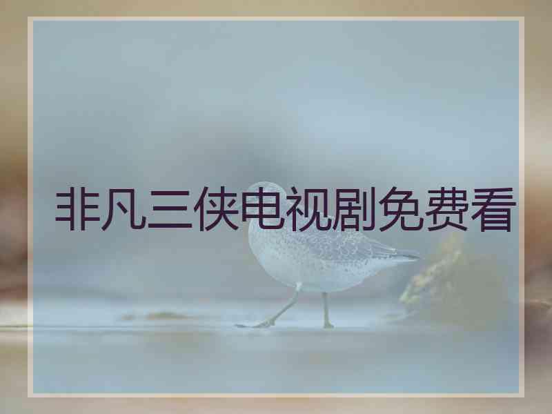 非凡三侠电视剧免费看