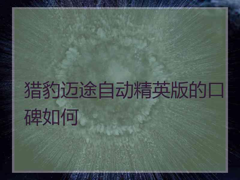 猎豹迈途自动精英版的口碑如何