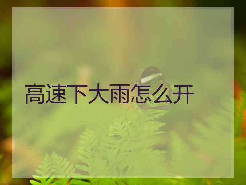 高速下大雨怎么开
