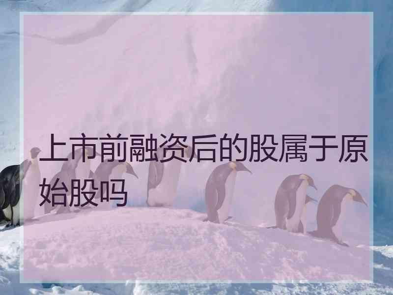 上市前融资后的股属于原始股吗
