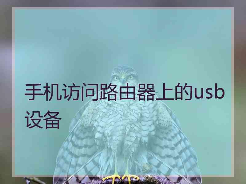 手机访问路由器上的usb设备