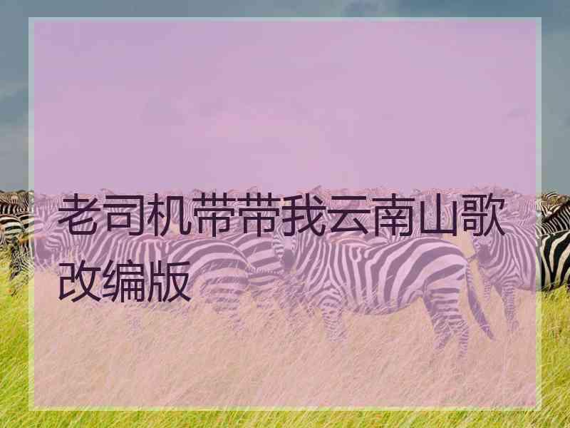 老司机带带我云南山歌改编版