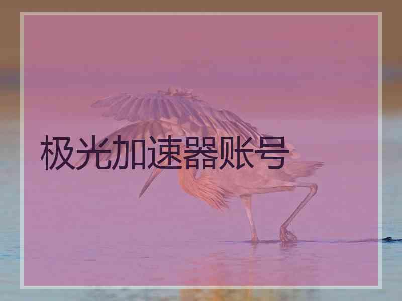 极光加速器账号
