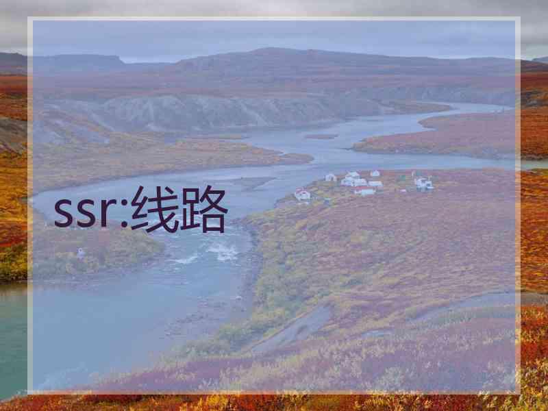 ssr:线路