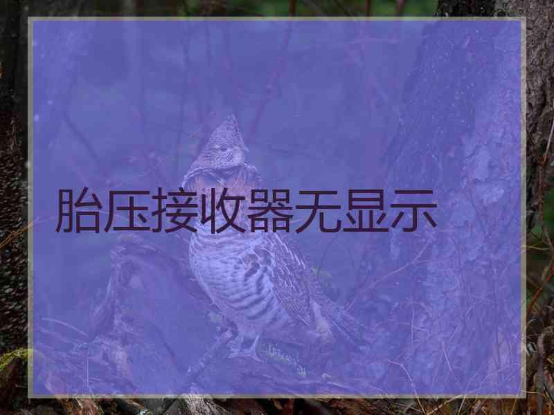 胎压接收器无显示