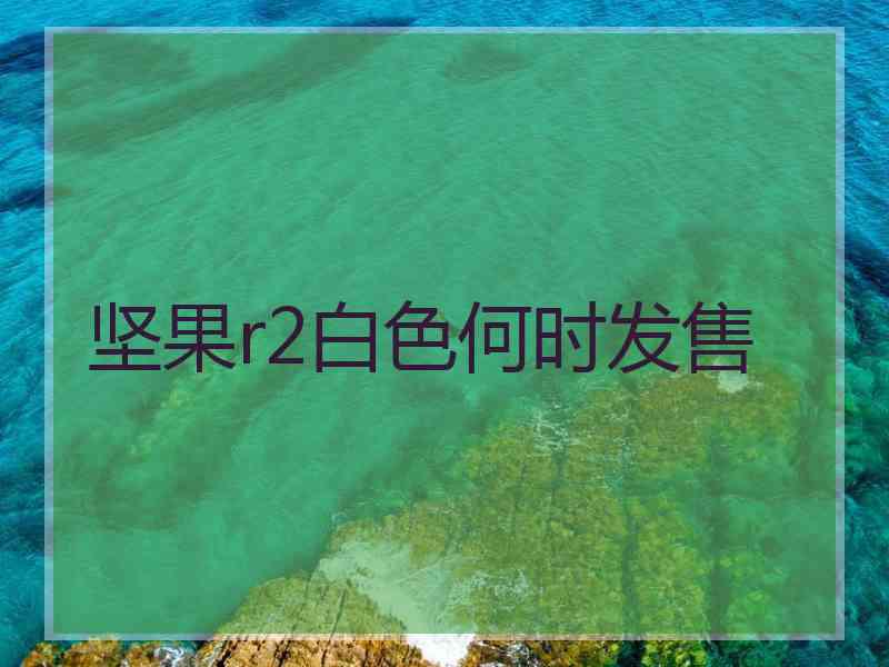 坚果r2白色何时发售