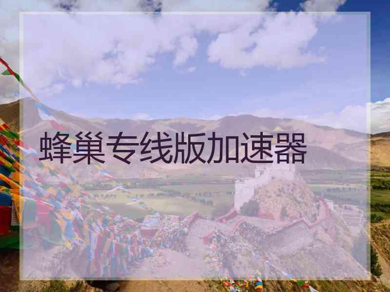 蜂巢专线版加速器