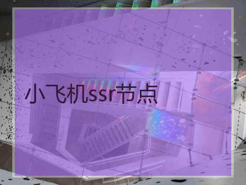 小飞机ssr节点