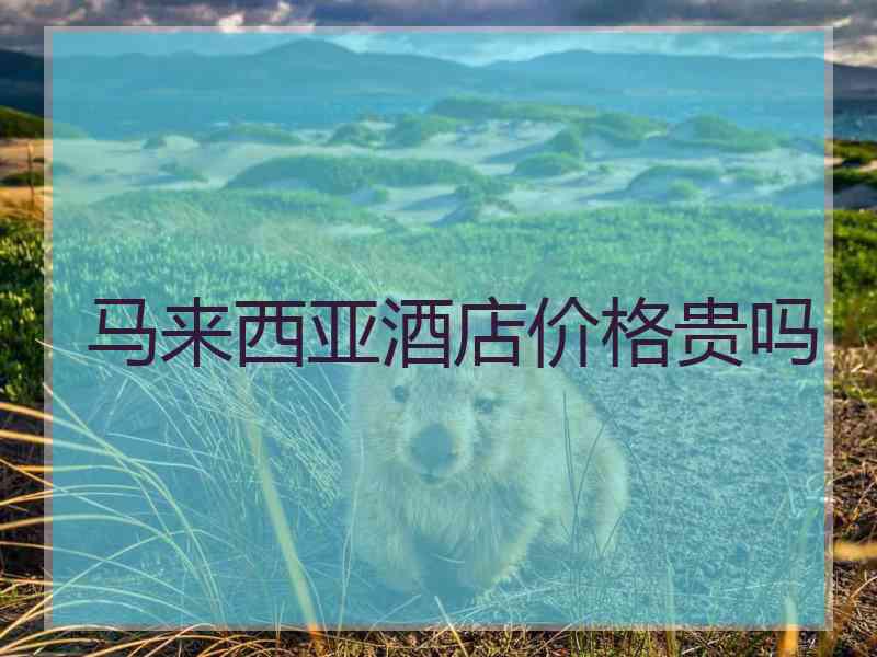马来西亚酒店价格贵吗