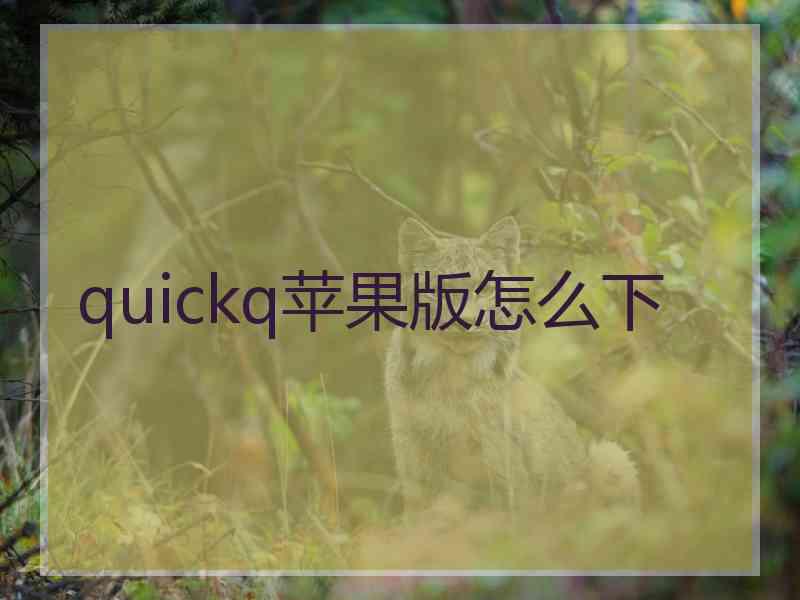 quickq苹果版怎么下