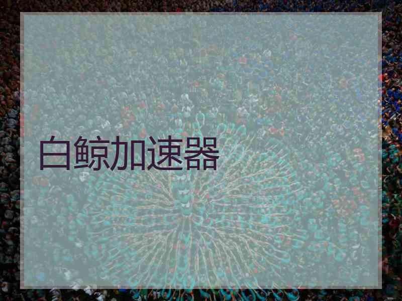 白鲸加速器