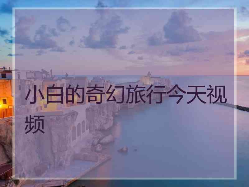 小白的奇幻旅行今天视频