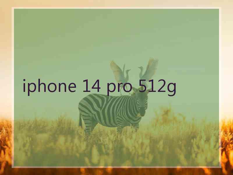 iphone 14 pro 512g