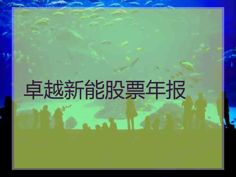 卓越新能股票年报