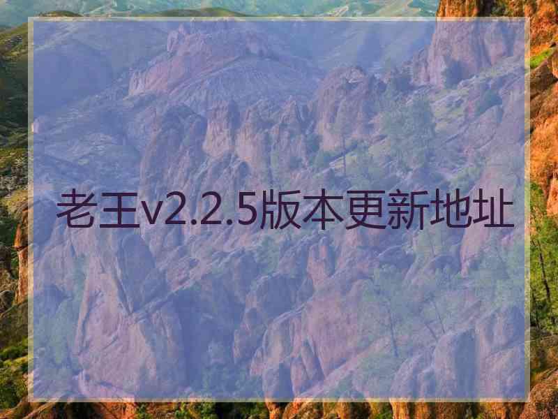 老王v2.2.5版本更新地址