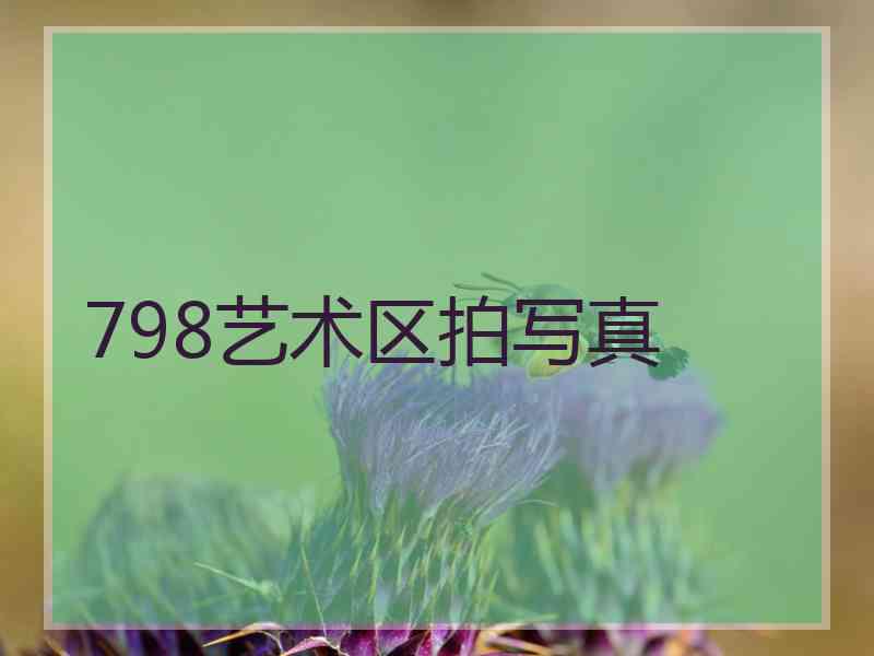 798艺术区拍写真